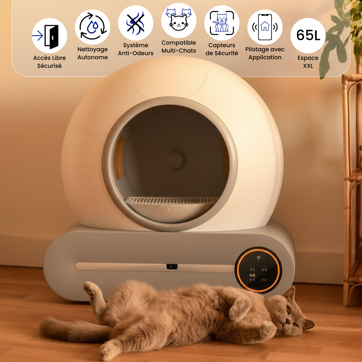 Felina Pro | Litière Automatique