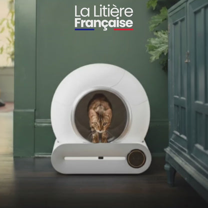 Felina Pro | Litière Automatique
